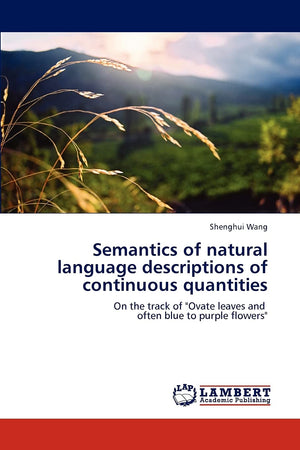 Semantics of natural language descriptions of continuous quantities: On the track of 
