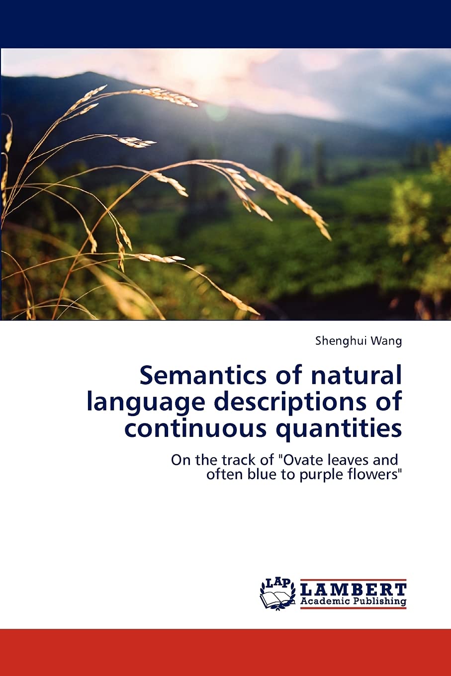 Semantics of natural language descriptions of continuous quantities: On the track of 