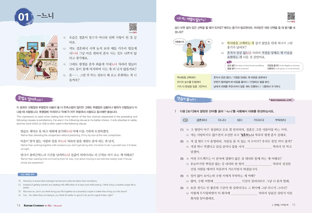 Korean Grammar in Use  Advanced,New