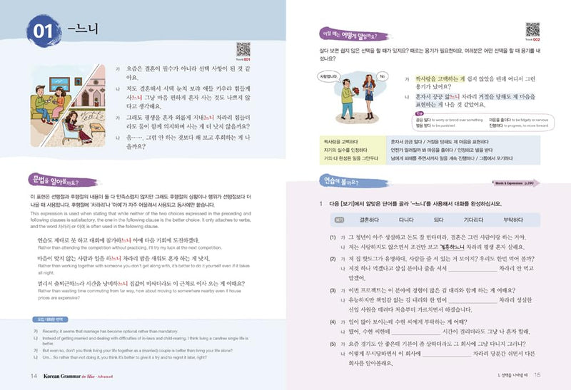 Korean Grammar in Use  Advanced,New