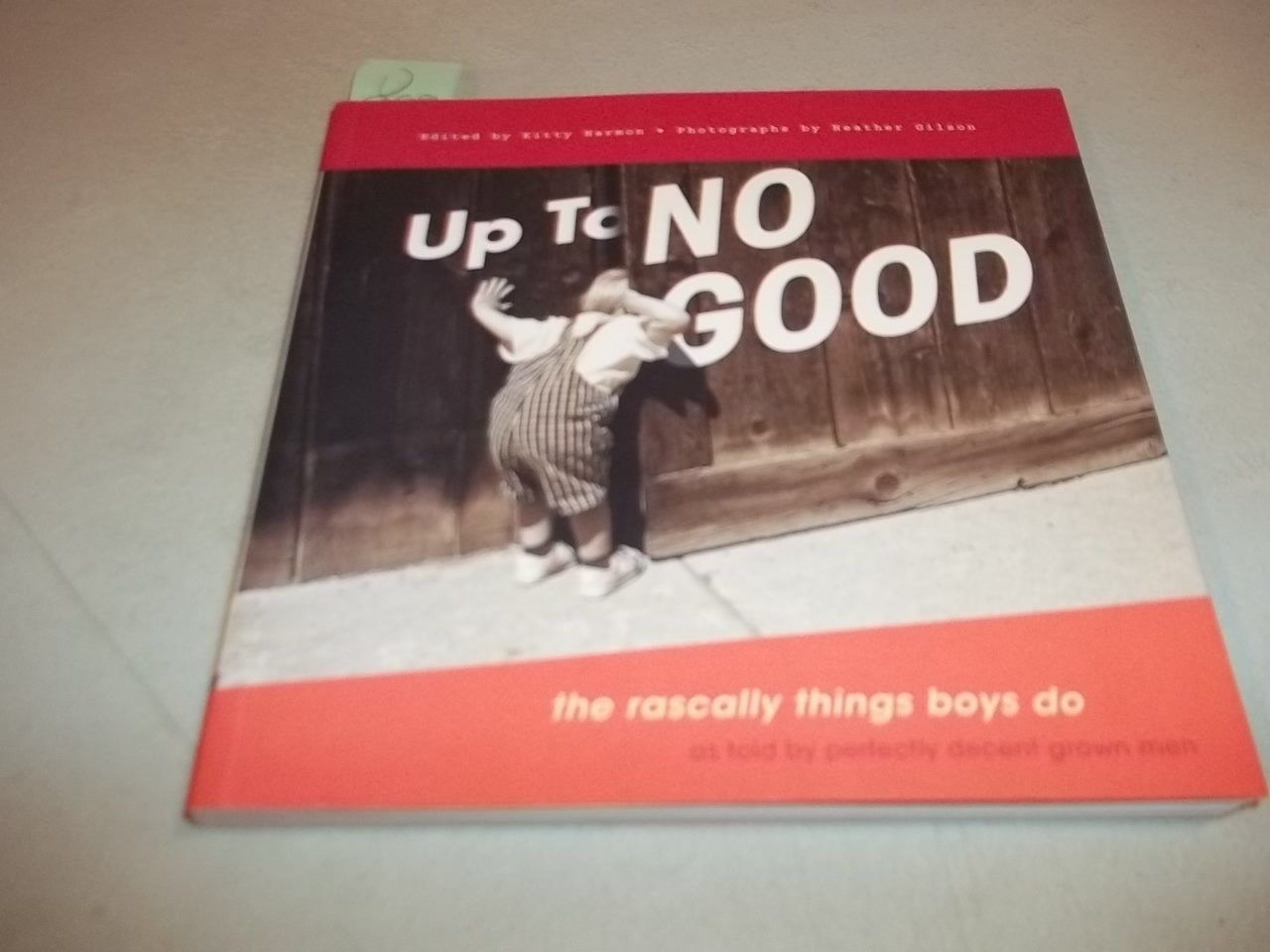 Up to No Good: The Rascally Things Boys Do