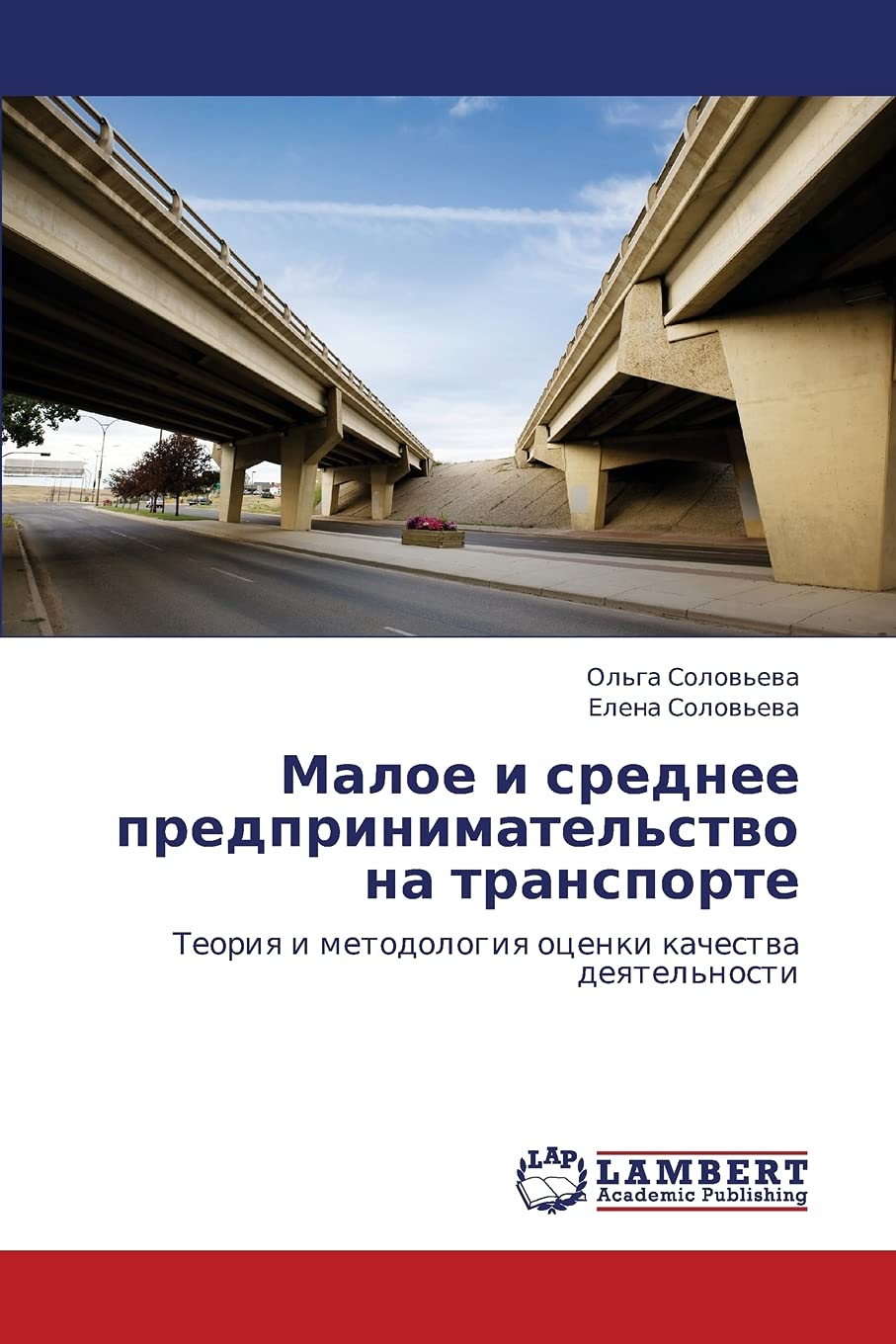 Maloe i srednee predprinimatel'stvo na transporte: Teoriya i metodologiya otsenki kachestva deyatel'nosti (Russian Edition),Used