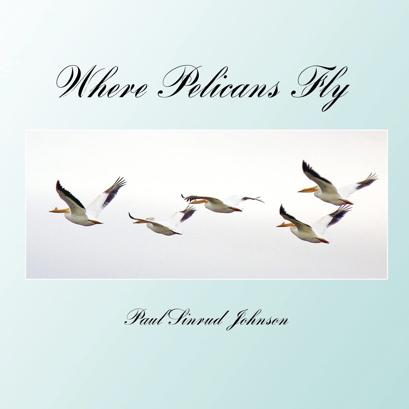 Where Pelicans Fly: A Celebration Of The Extraordinary Everyday,New