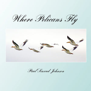 Where Pelicans Fly: A Celebration Of The Extraordinary Everyday,Used