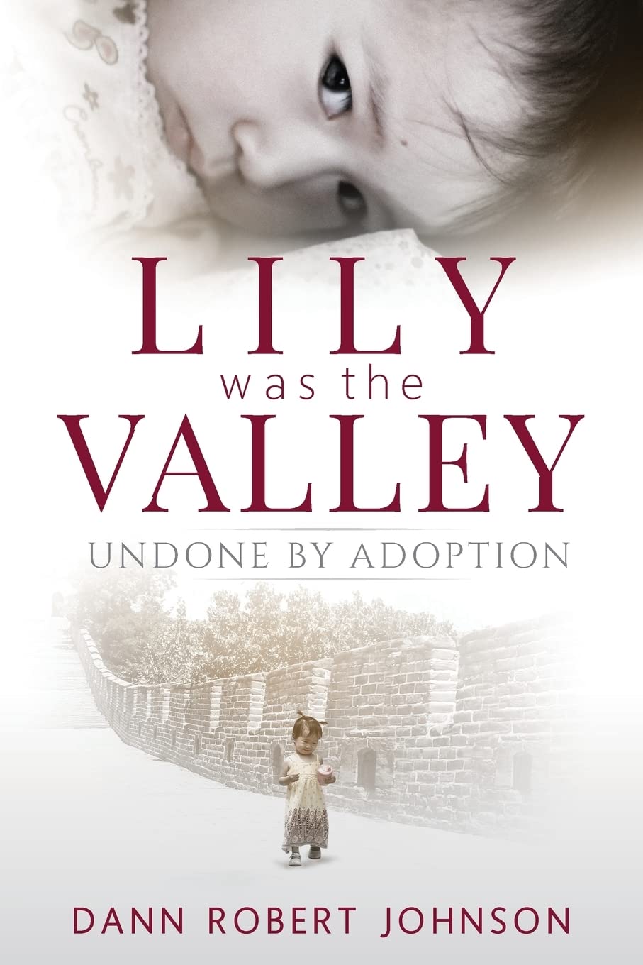 Lily Was the Valley: Undone by Adoption,Used