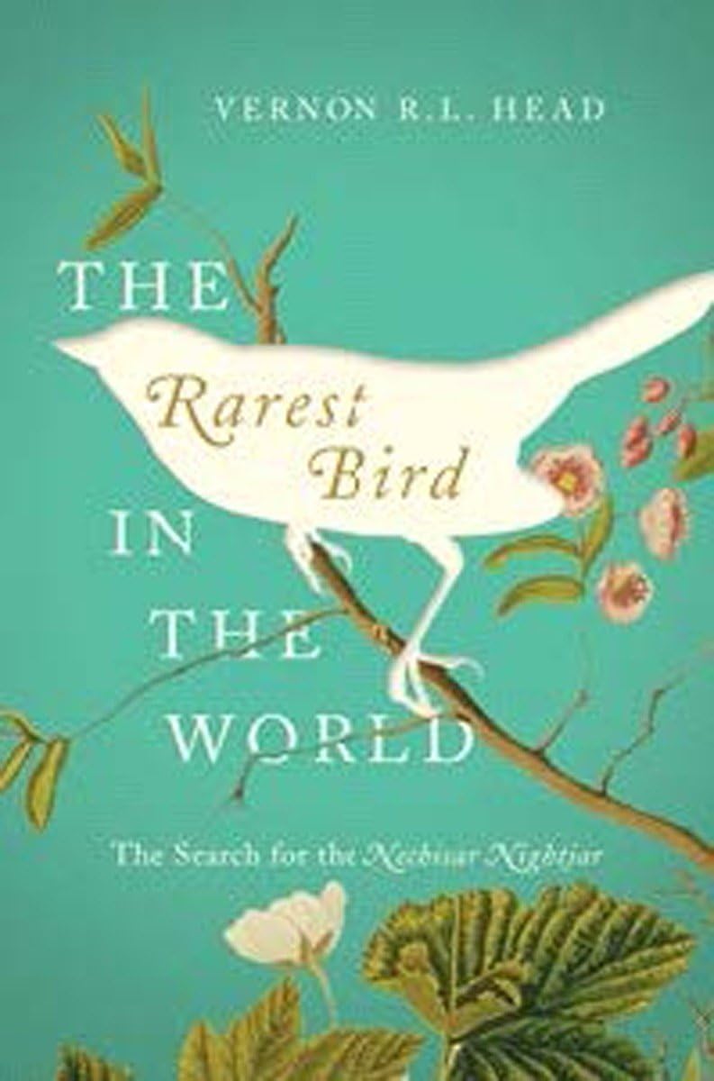 The Rarest Bird In The World: The Search For The Nechisar Nightjar,Used