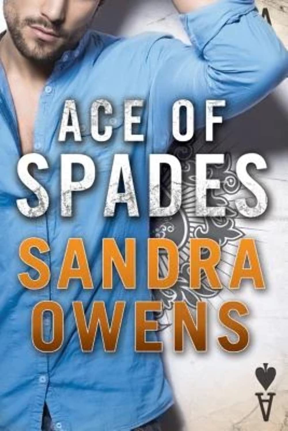 Ace of Spades (Aces & Eights, 3),Used