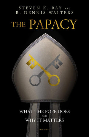 The Papacy: What The Pope Does And Why It Matters,New