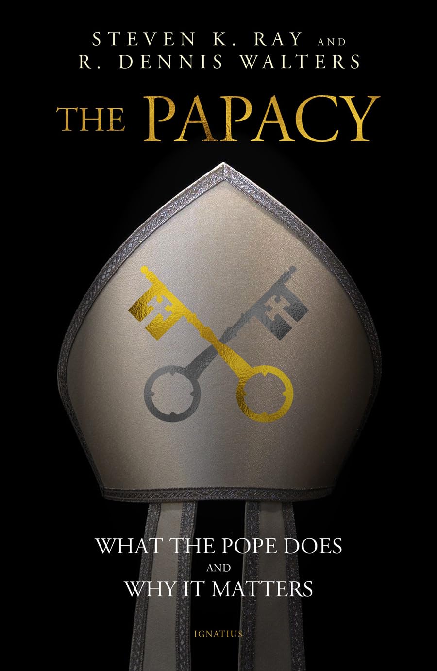 The Papacy: What The Pope Does And Why It Matters,New