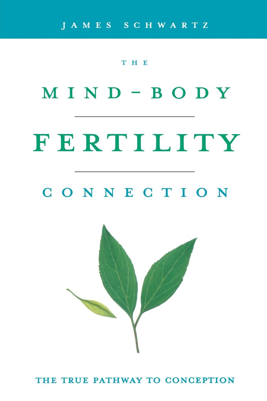 The Mindbody Fertility Connection: The True Pathway To Conception