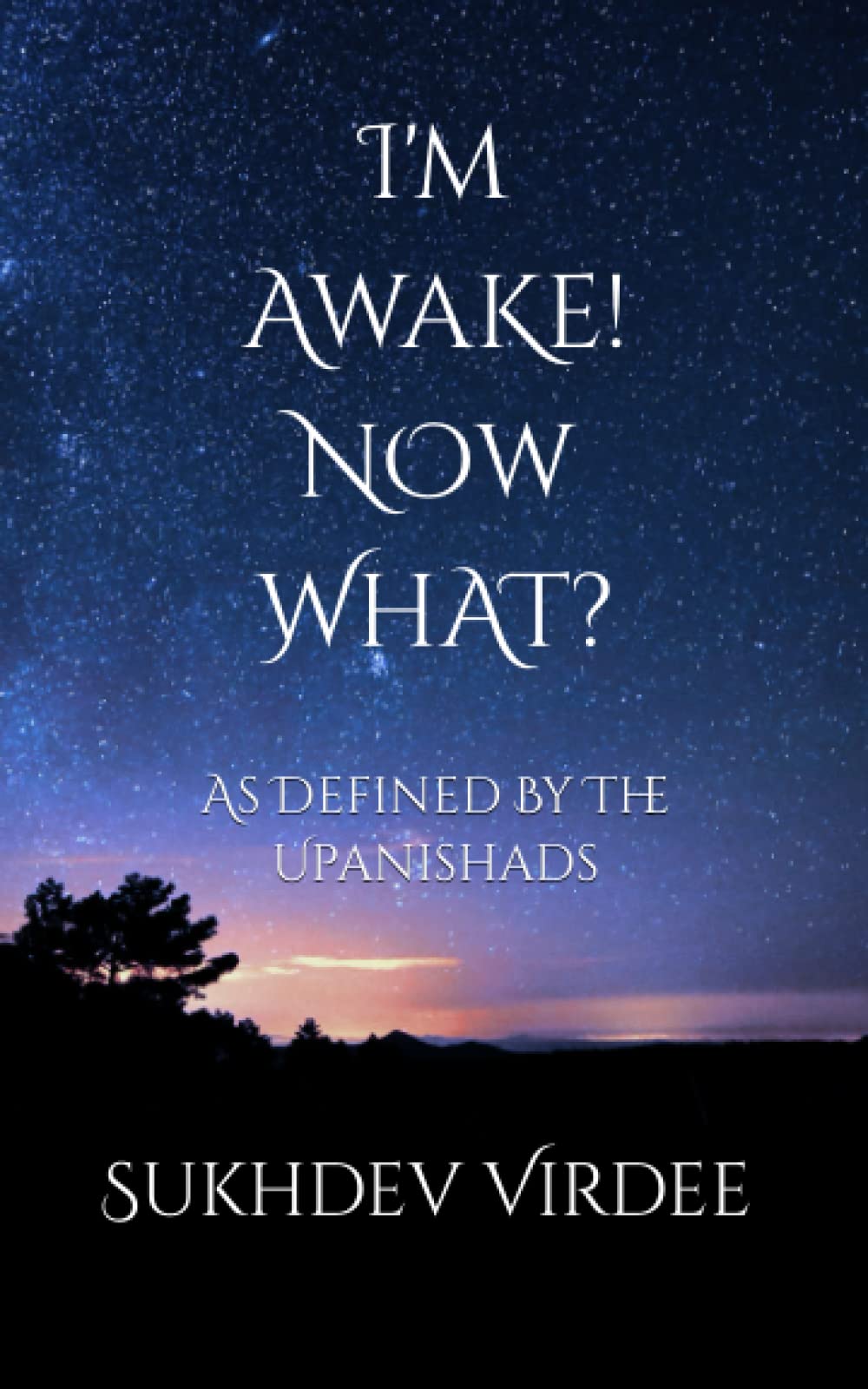 I'm Awake! Now What?: As Defined By The Upanishads (I Am Consciousness),Used