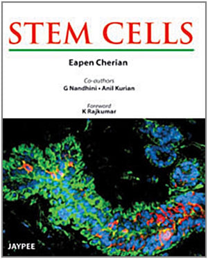 Stem Cells,Used