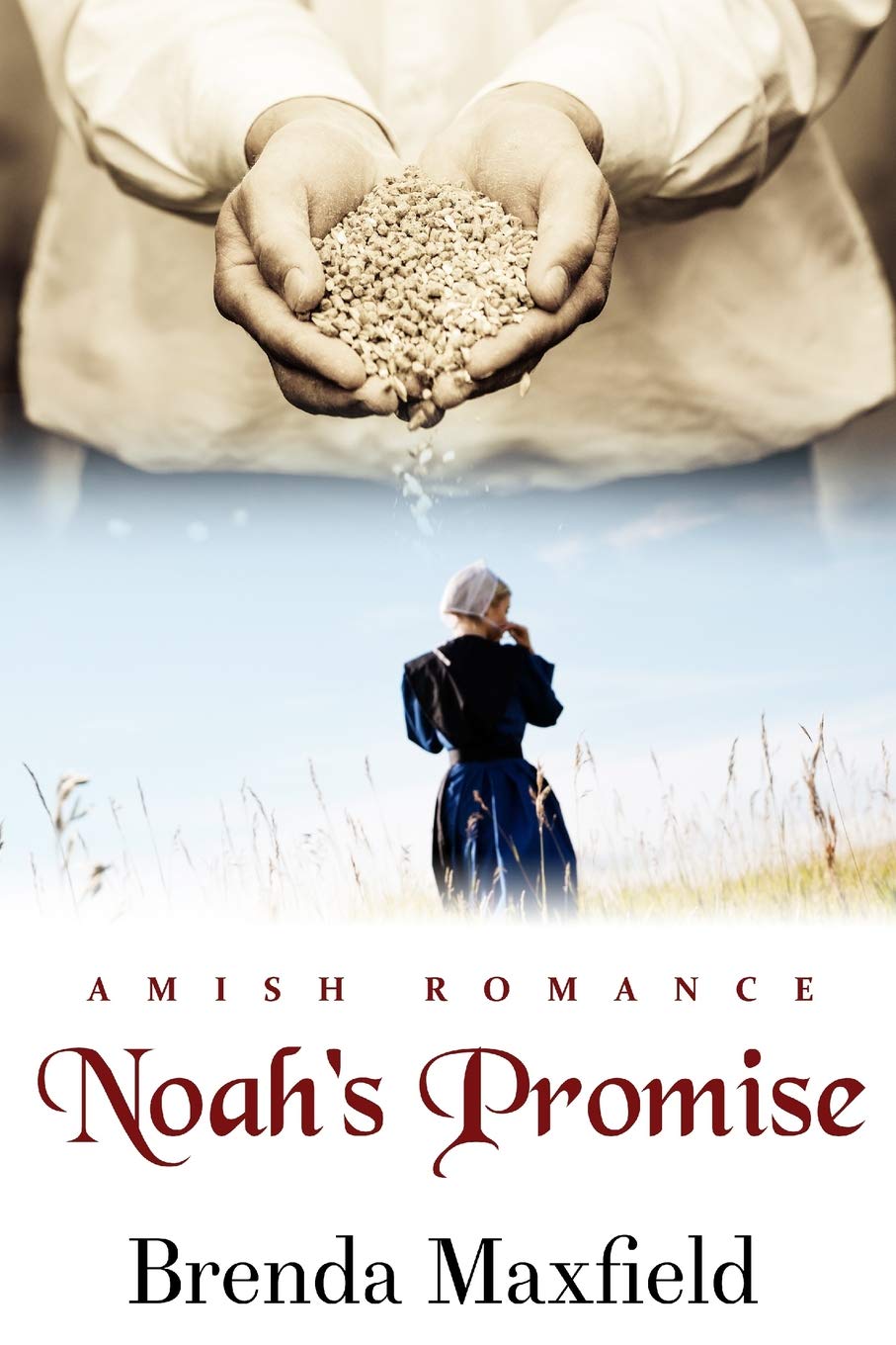 Noah's Promise (Hannah's Story),Used