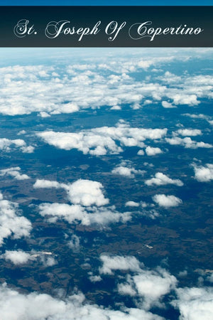 St. Joseph Of Copertino,Used