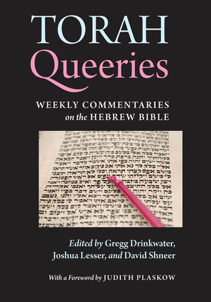 Torah Queeries: Weekly Commentaries on the Hebrew Bible,Used