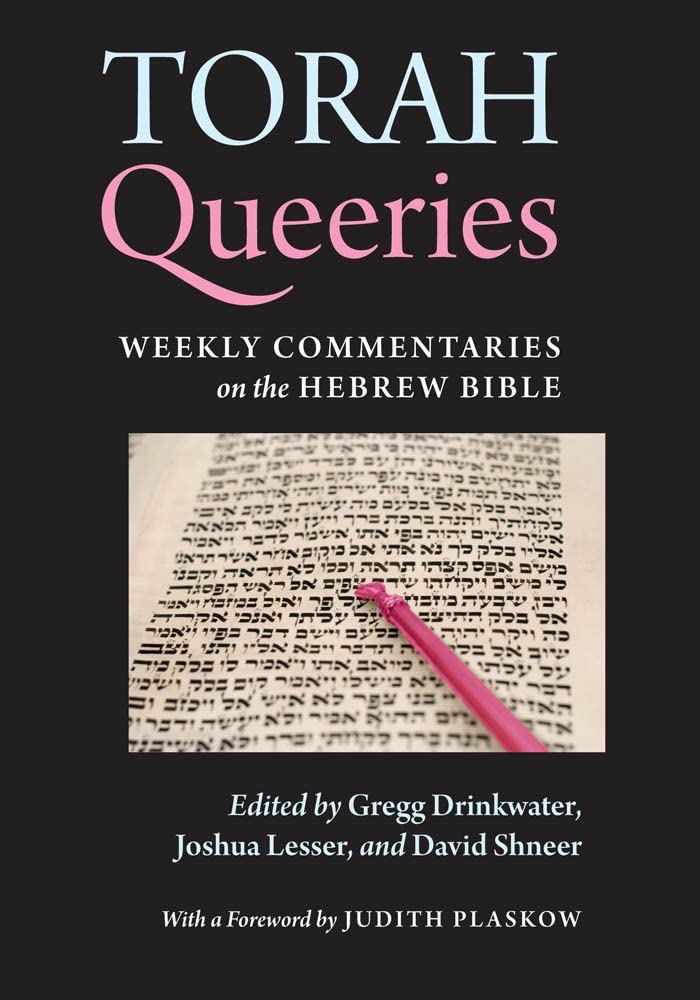 Torah Queeries: Weekly Commentaries on the Hebrew Bible,Used