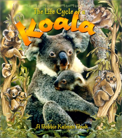 The Life Cycle of a Koala,Used