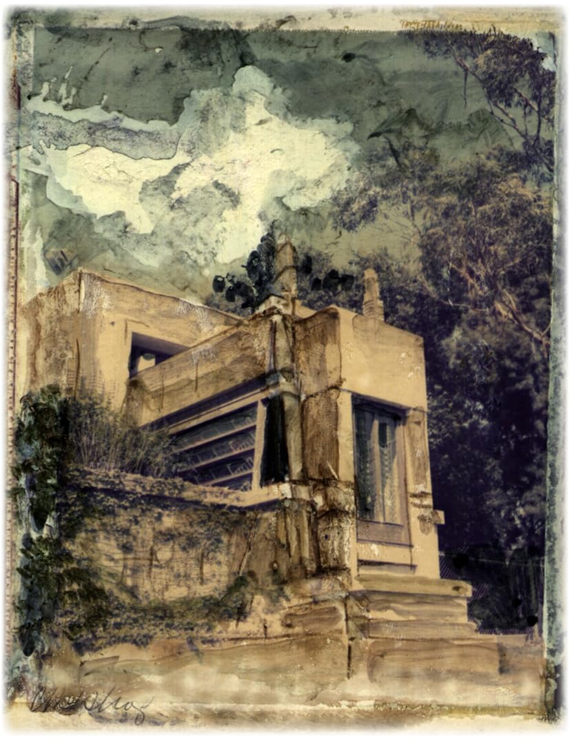 Frank Lloyd Wright: The Romantic Spirit,Used