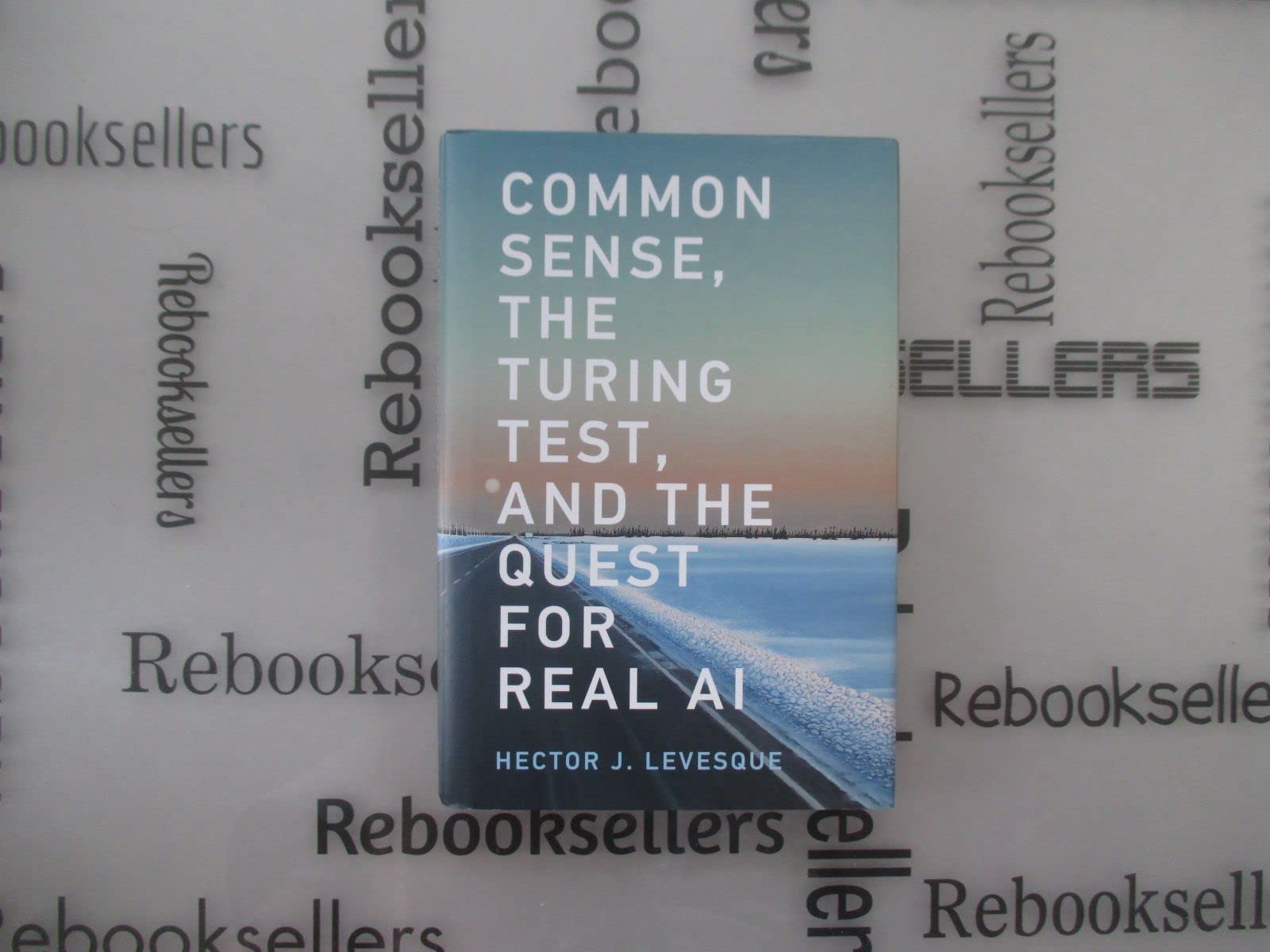Common Sense, The Turing Test, And The Quest For Real Ai