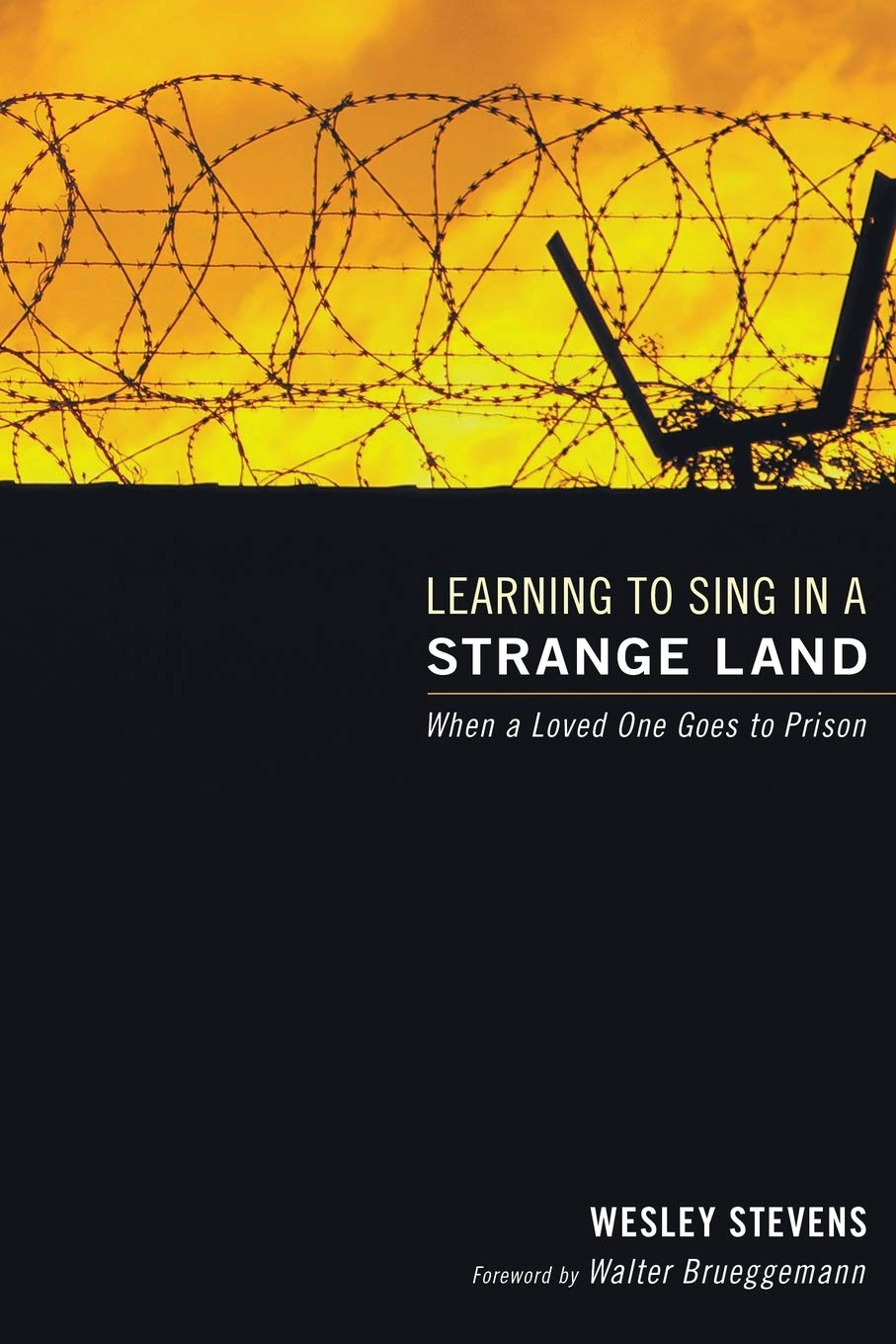 Learning To Sing In A Strange Land: When A Loved One Goes To Prison,Used