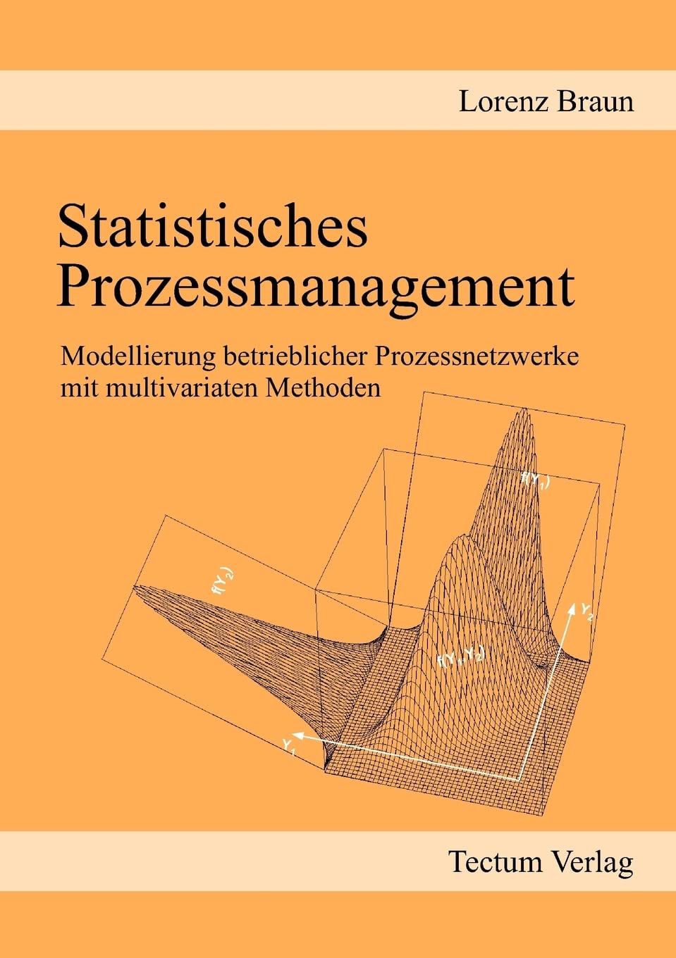 Statistisches Prozessmanagement (German Edition),Used