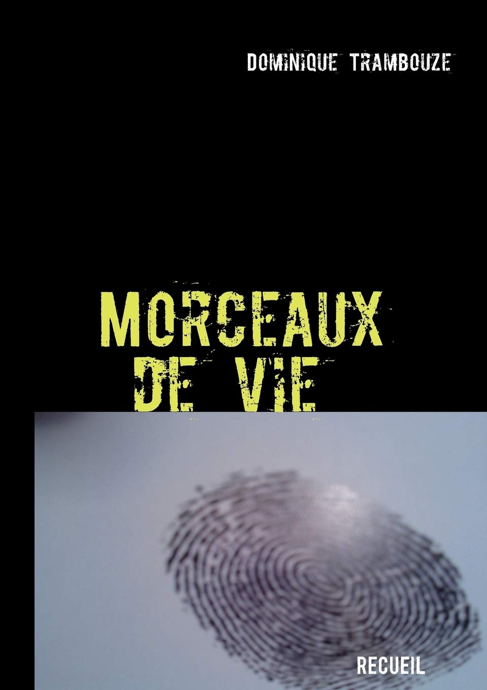 Morceaux de vie (French Edition),Used