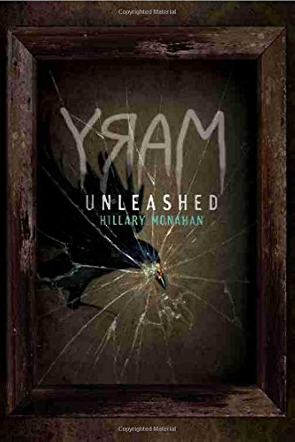 Mary: Unleashed (Bloody Mary, 2),Used