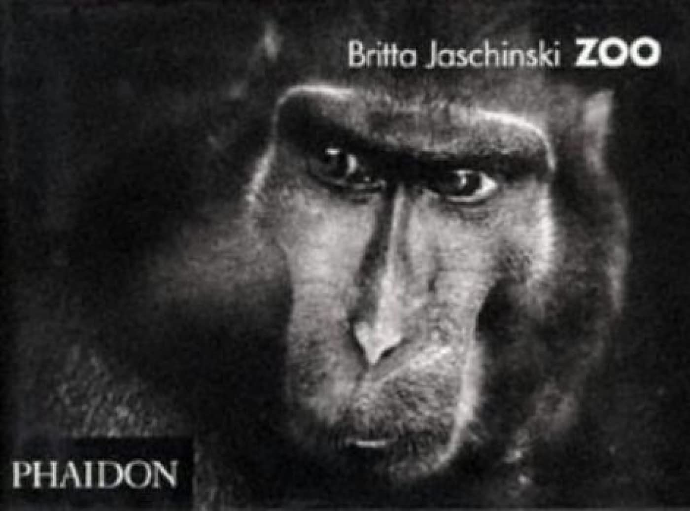 Zoo,Used
