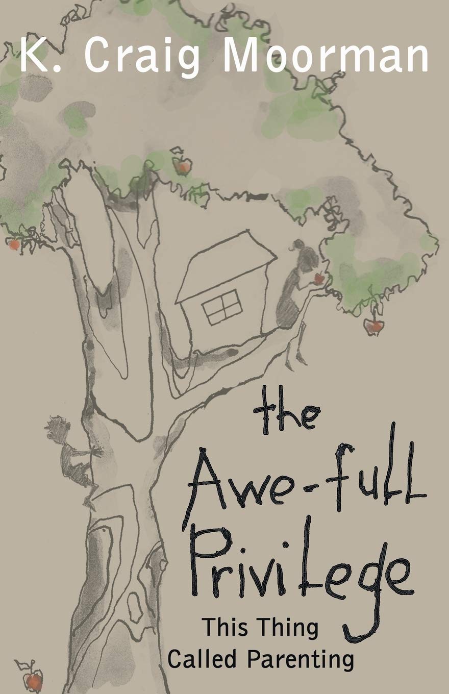 The Awefull Privilege : This Thing Called Parenting,Used