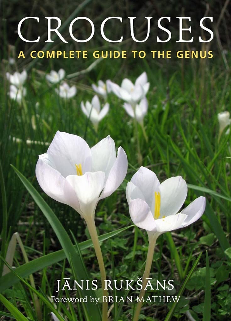 Crocuses: A Complete Guide To The Genus