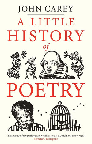 A Little History of Poetry (Little Histories),Used
