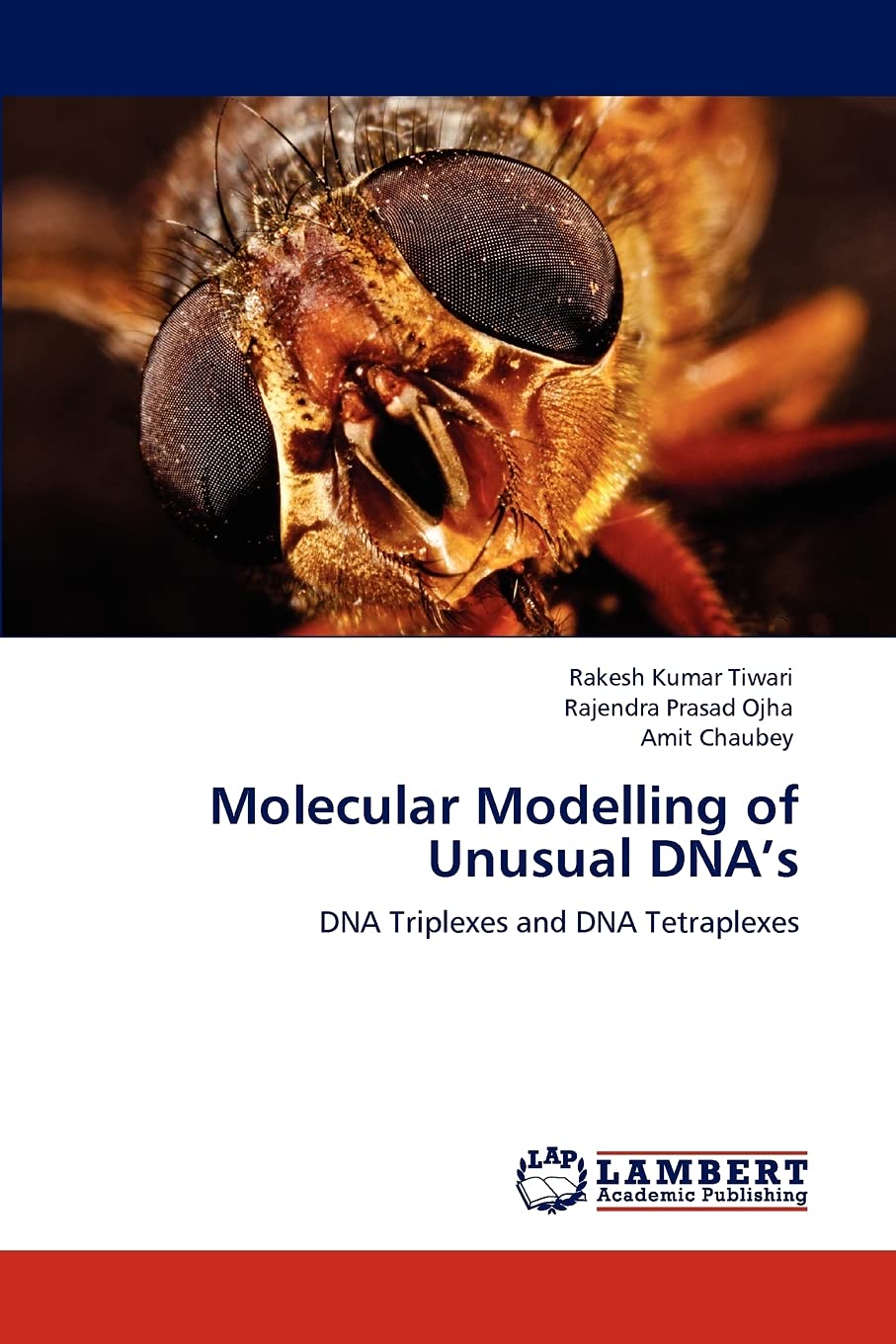 Molecular Modelling of Unusual DNAs: DNA Triplexes and DNA Tetraplexes,Used