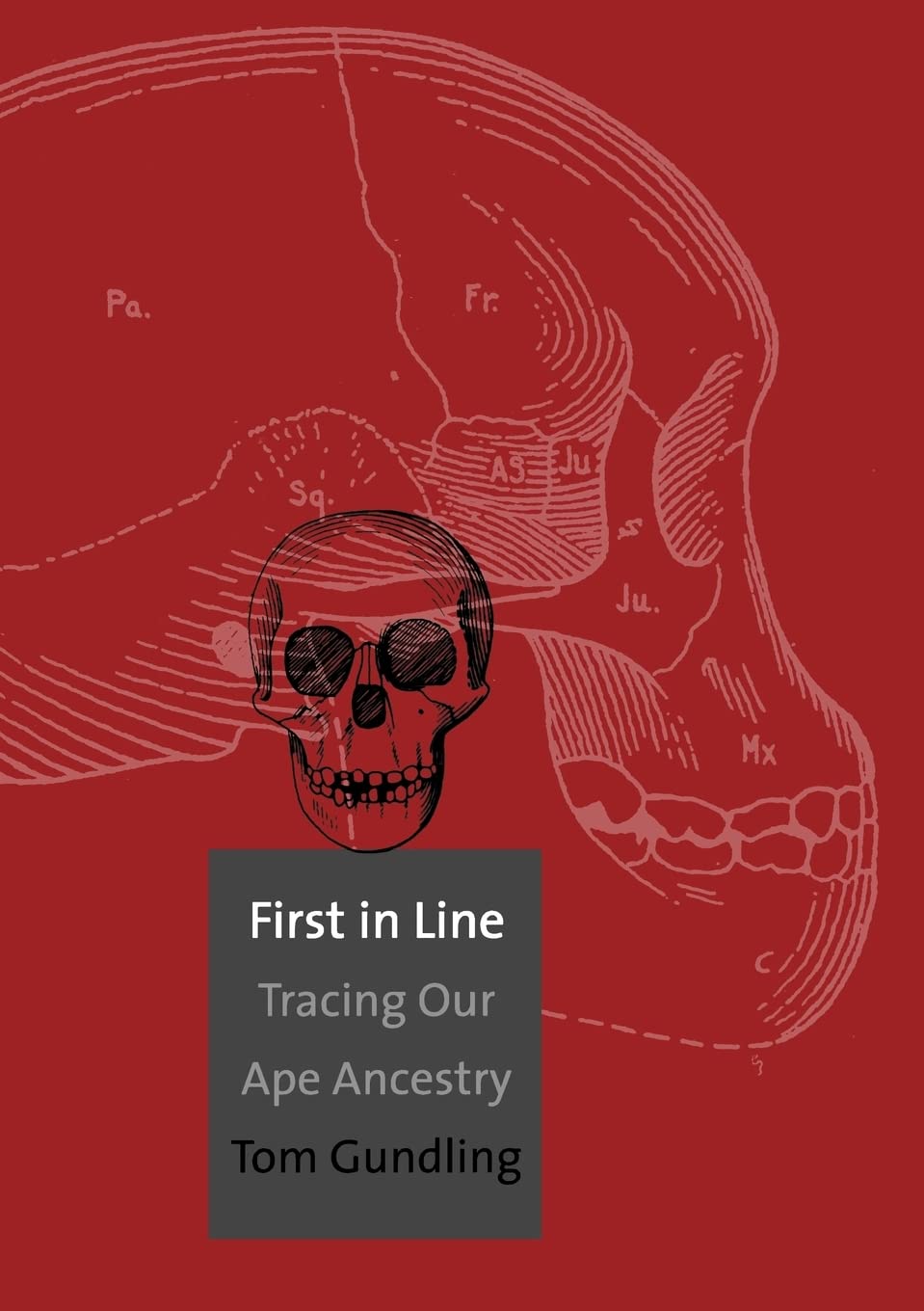 First In Line: Tracing Our Ape Ancestry,Used