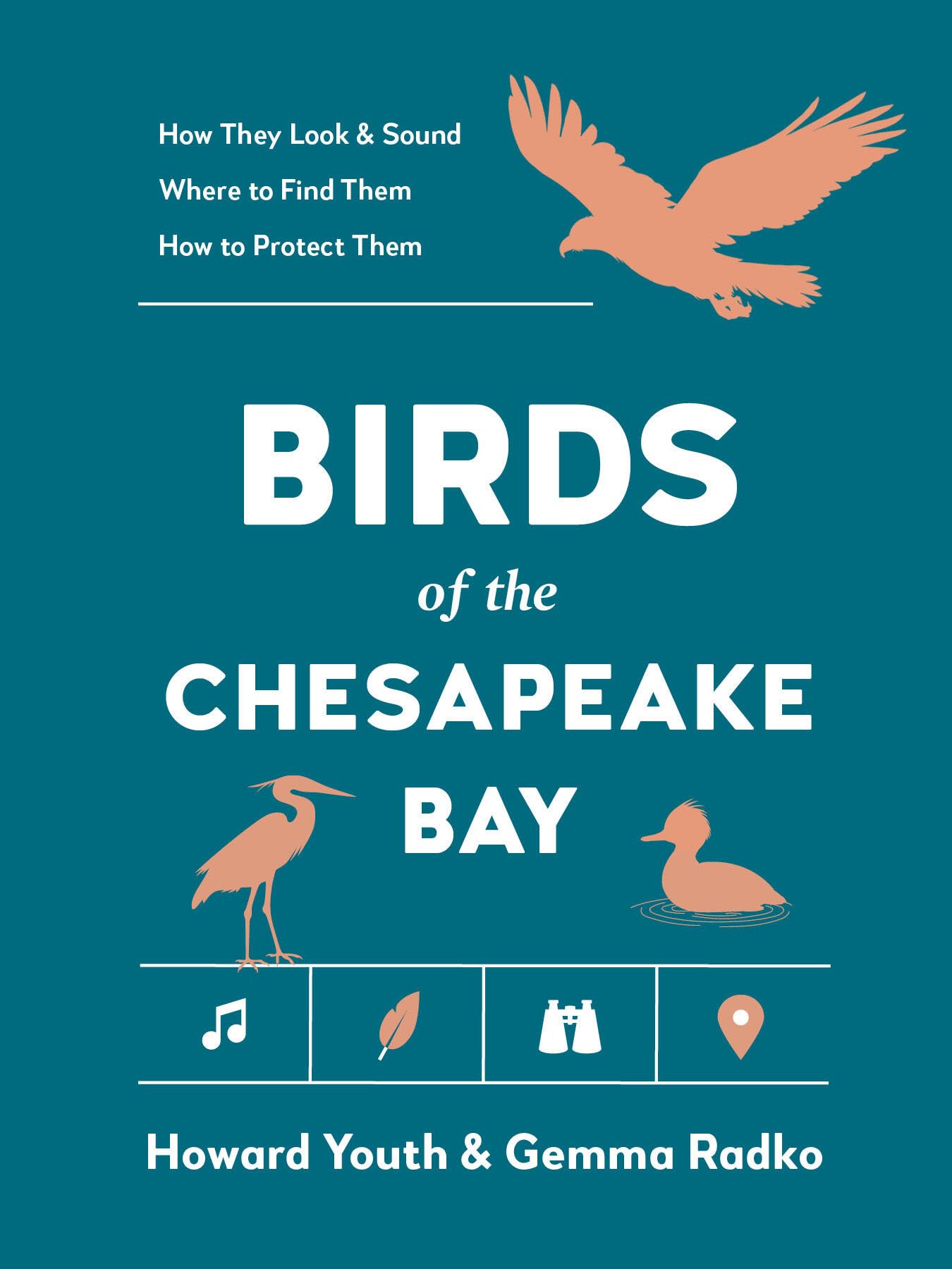 Birds Of The Chesapeake Bay (Best Little Book Of Birds)