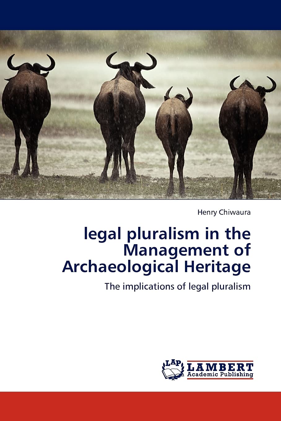 legal pluralism in the Management of Archaeological Heritage: The implications of legal pluralism,Used