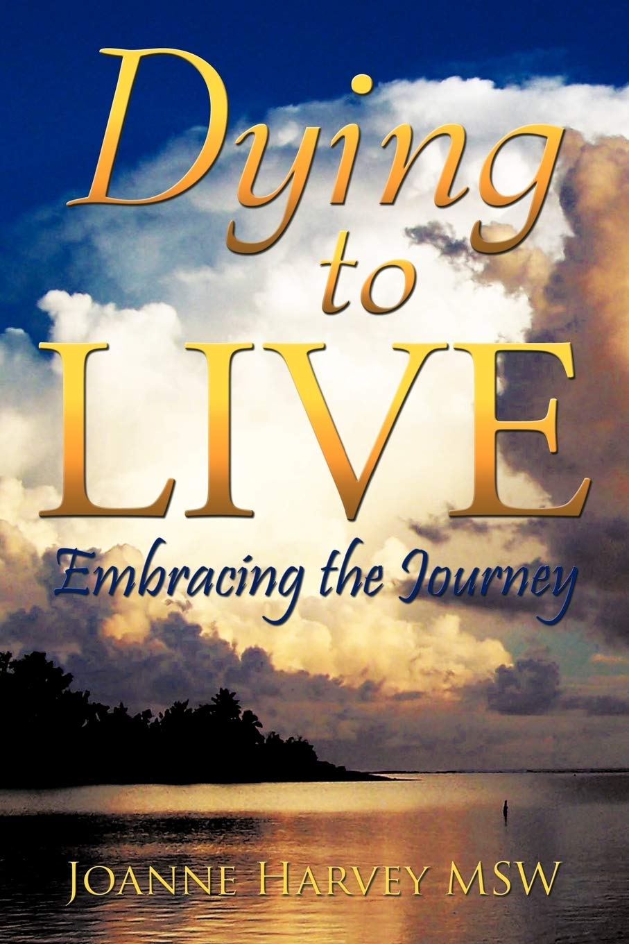 Dying To Live: Embracing The Journey,Used