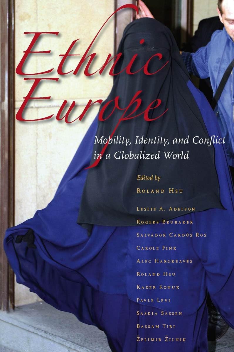 Ethnic Europe: Mobility, Identity, And Conflict In A Globalized World,Used