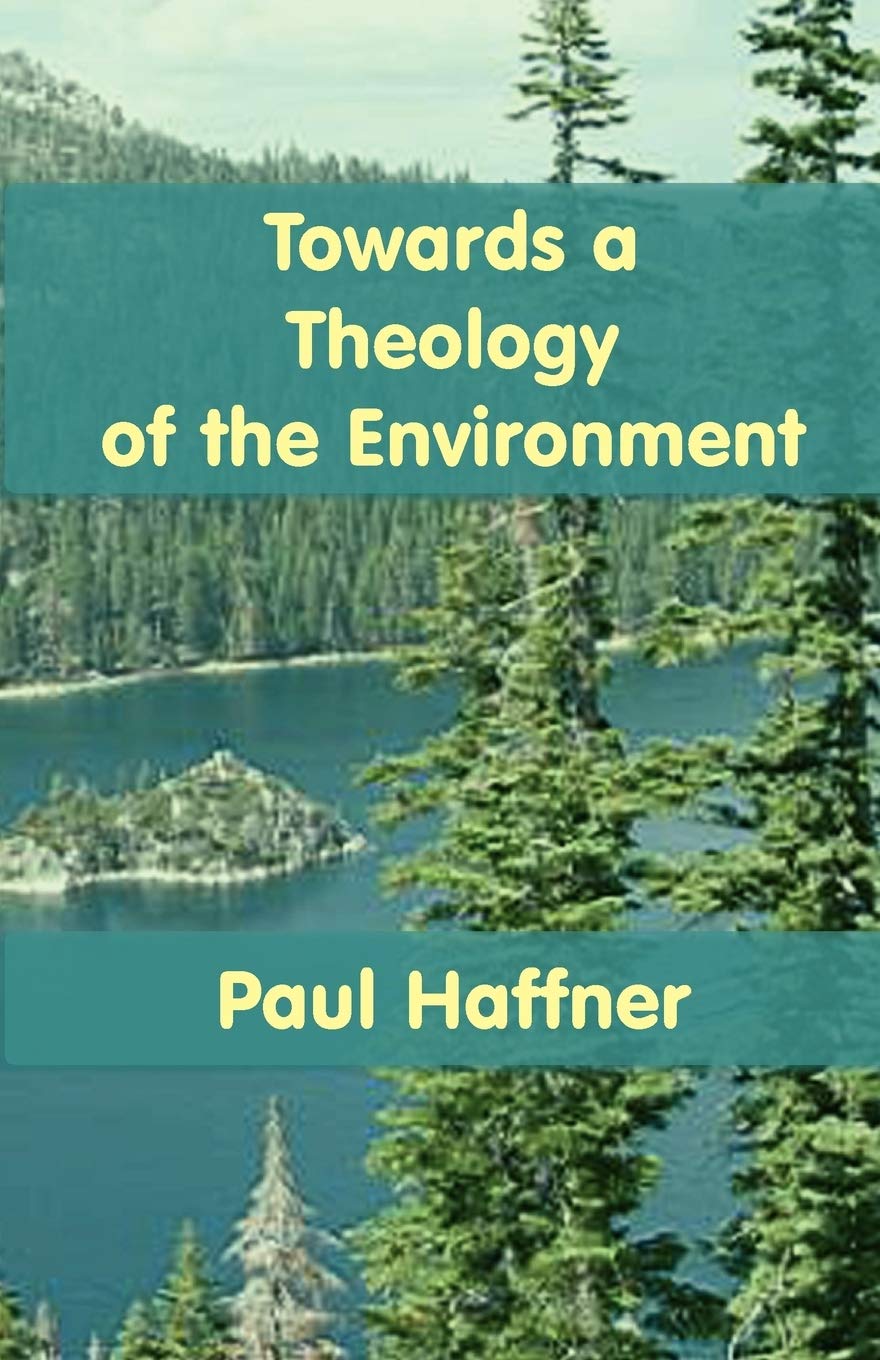 Towards A Theology Of The Environment,Used