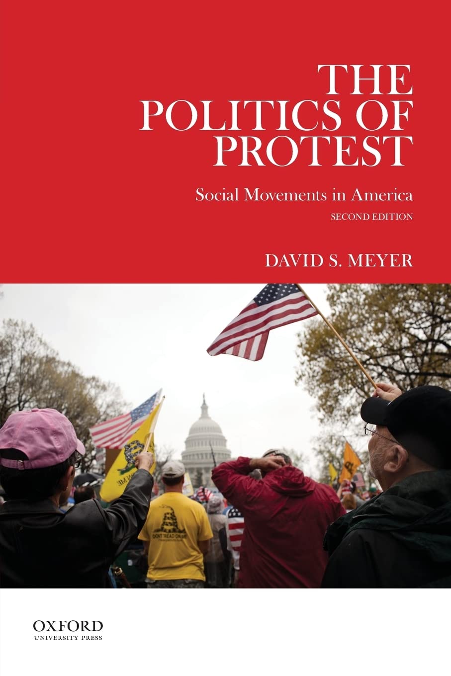 The Politics of Protest: Social Movements in America-Used