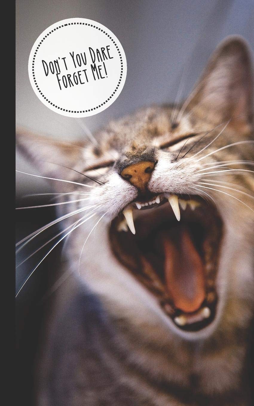Don't You Dare Forget Me!: Discreet Internet Password Keeper  Store Websites, Usernames, Passwords  Funny Gift Kitten/Cat Lovers,Used