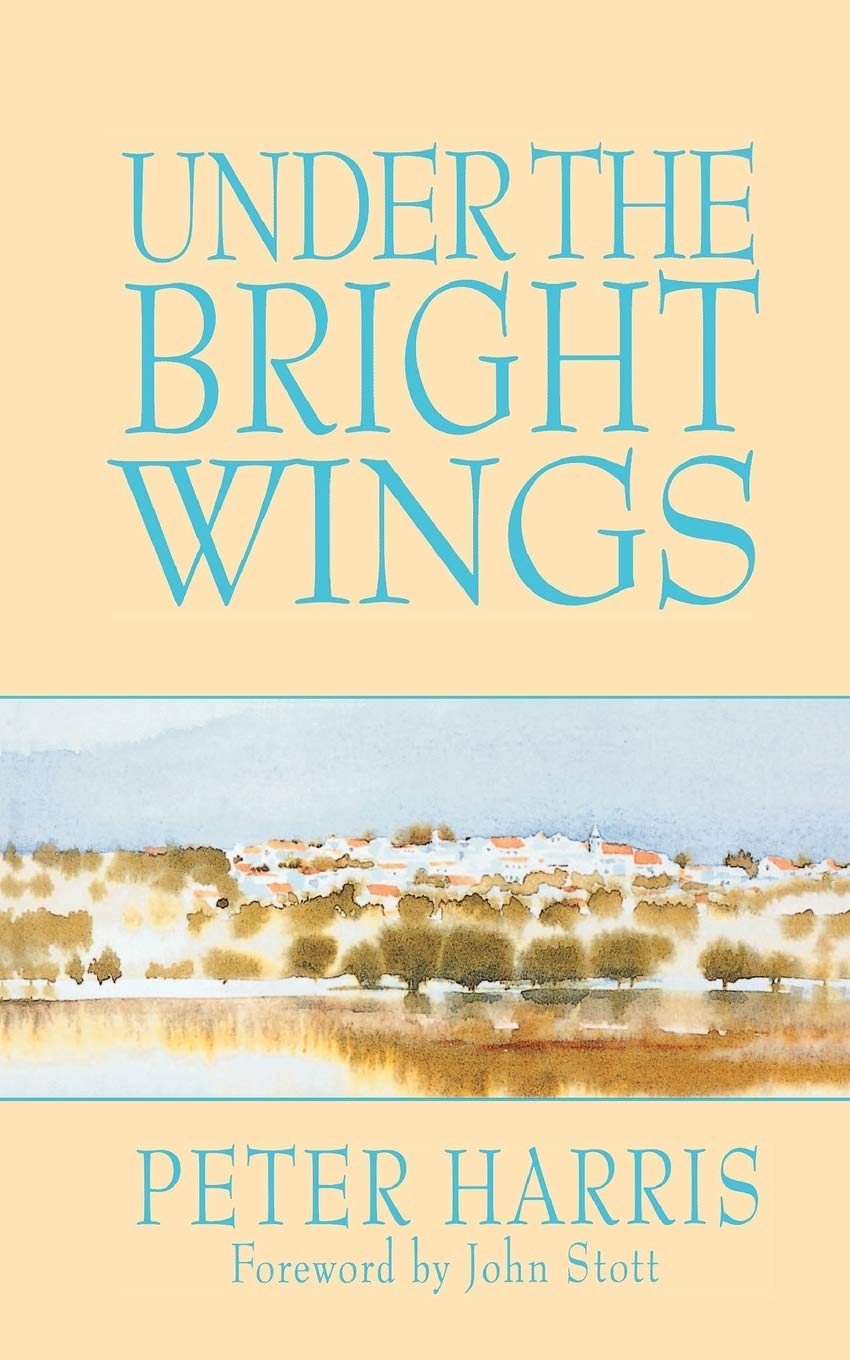 Under the Bright Wings,Used