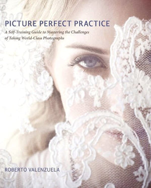 Picture Perfect Practice: A Selftraining Guide To Mastering The Challenges Of Taking Worldclass Photographs (Voices That Matte,New