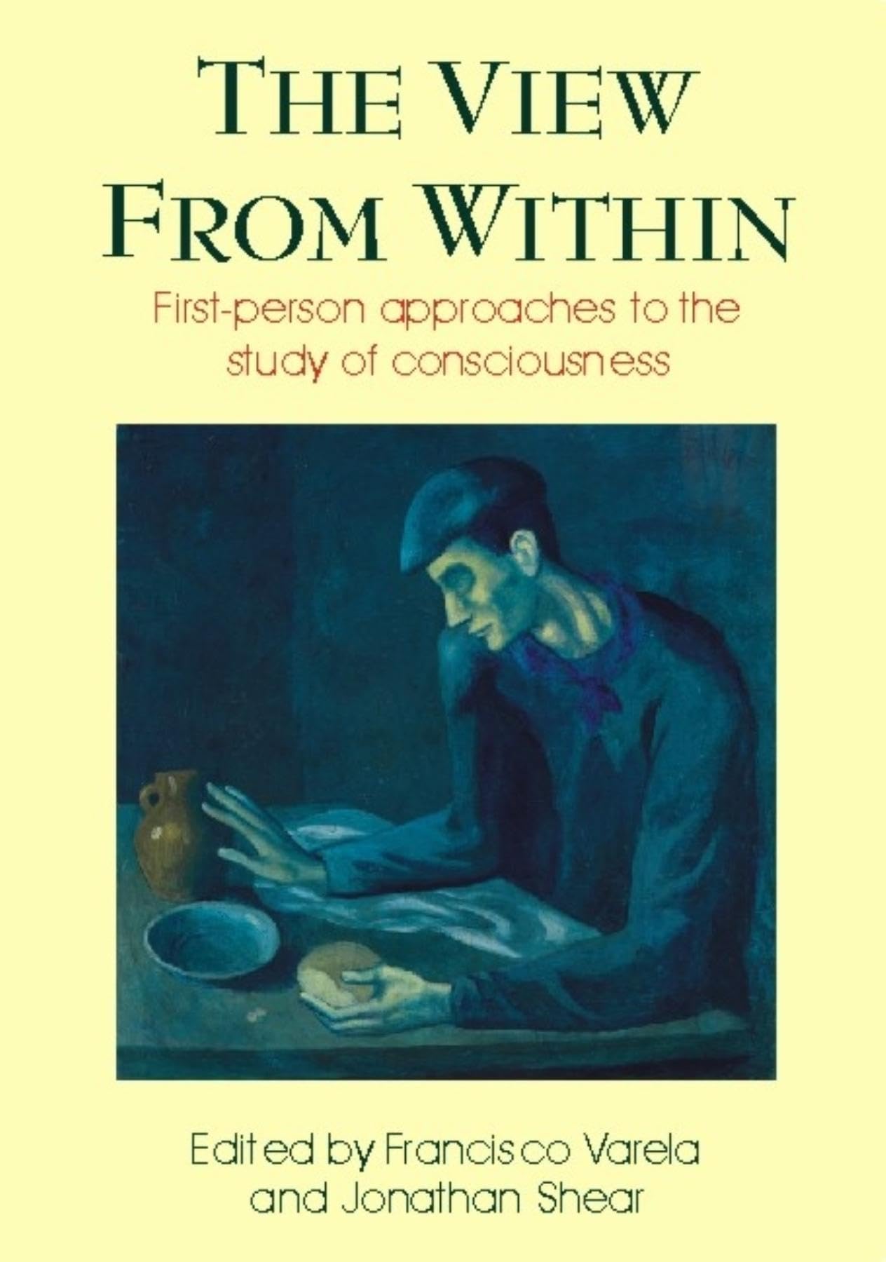 View from Within: Firstperson Approaches to the Study of Consciousness (Consciousness Studies),Used