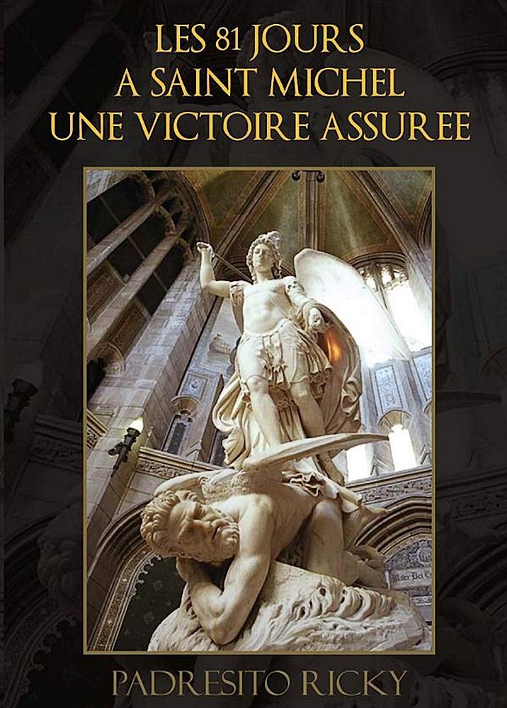 Les 81 Jours a Saint Michel Une Victoire Assuree,Used