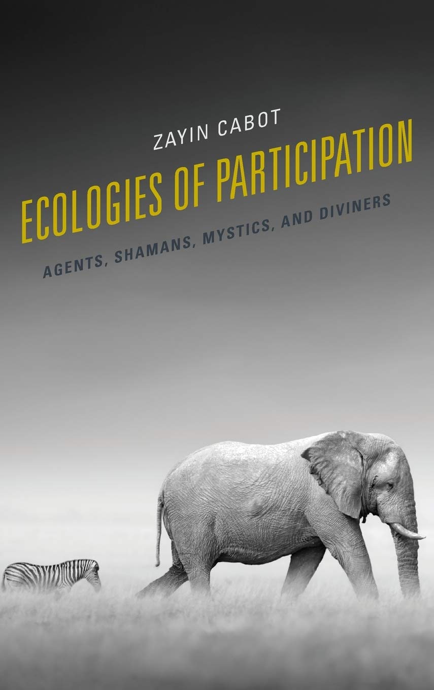 Ecologies of Participation: Agents, Shamans, Mystics, and Diviners (Postcolonial and Decolonial Studies in Religion and Theology,Used