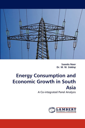 Energy Consumption and Economic Growth in South Asia: A Cointegrated Panel Analysis,Used