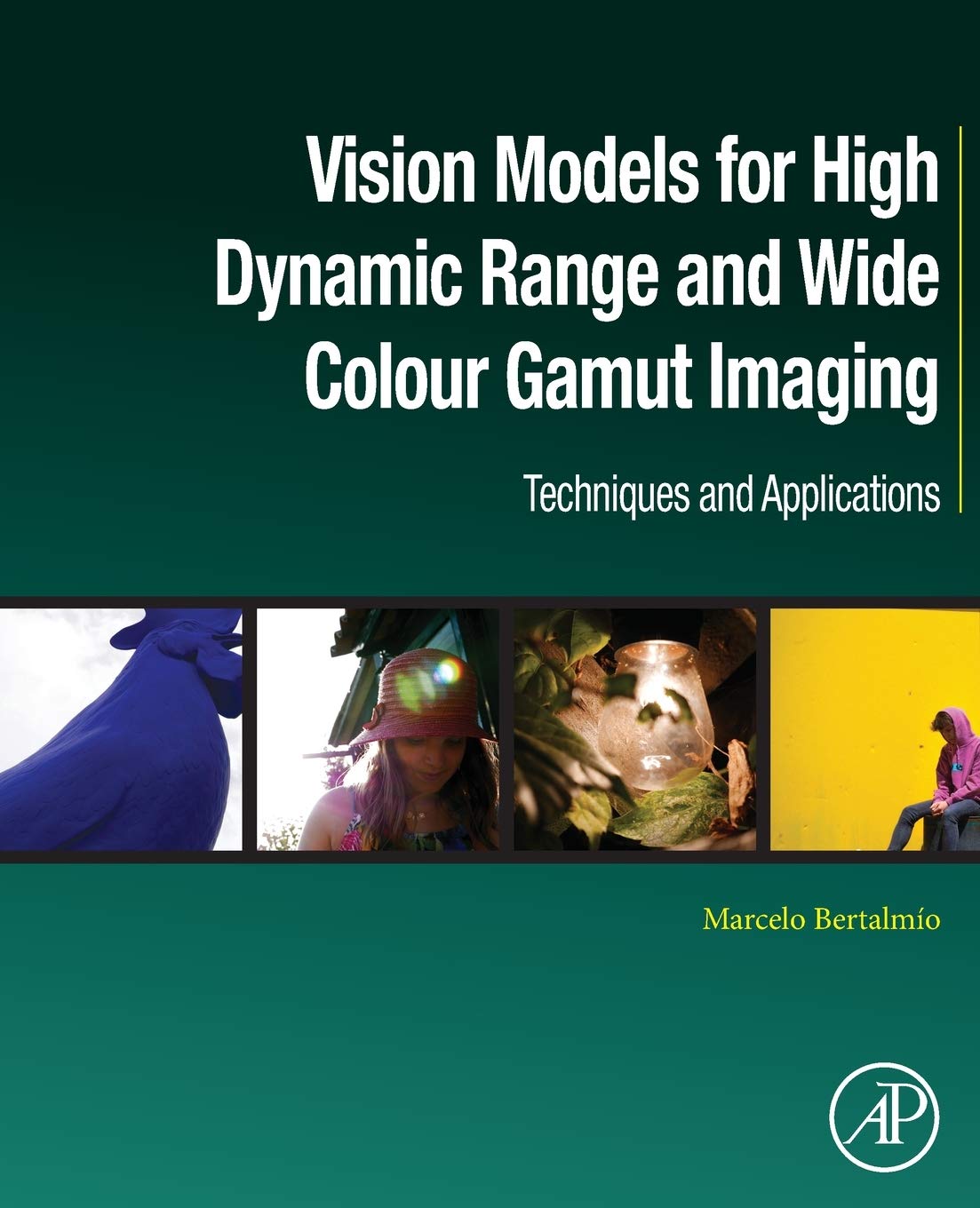 Vision Models for High Dynamic Range and Wide Colour Gamut Imaging: Techniques and Applications (Computer Vision and Pattern Rec,Used