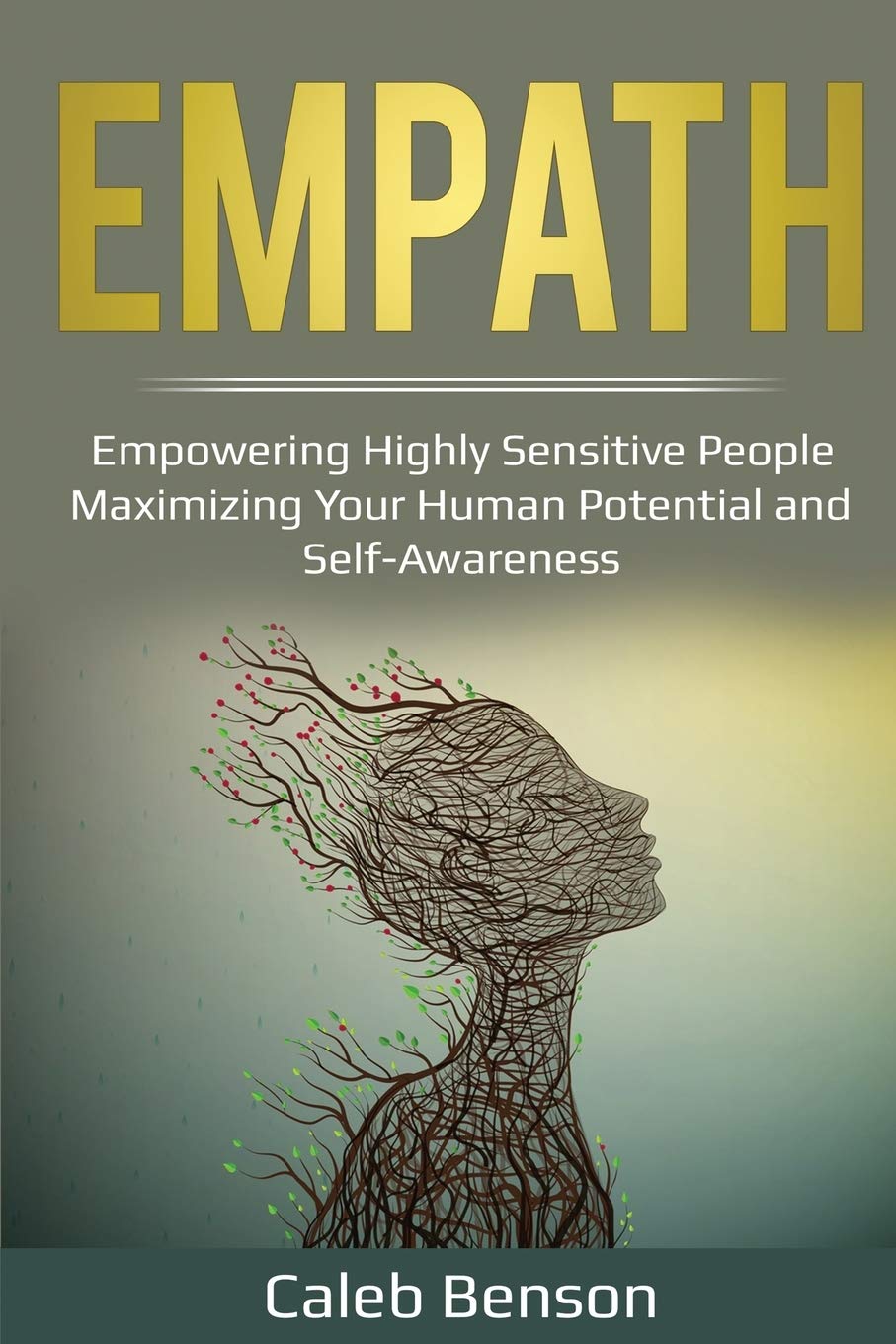 Empath: Empowering Highly Sensitive People  Maximizing Your Human Potential and SelfAwareness (Ei 2.0),Used