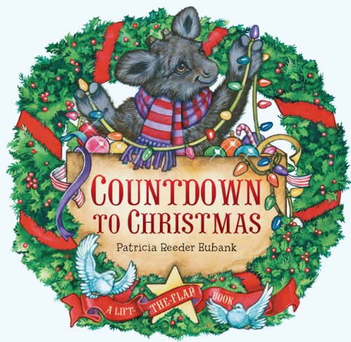 Countdown to Christmas,Used