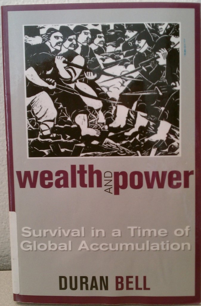 Wealth and Power: Survival in a Time of Global Accumulation,New